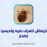 البق